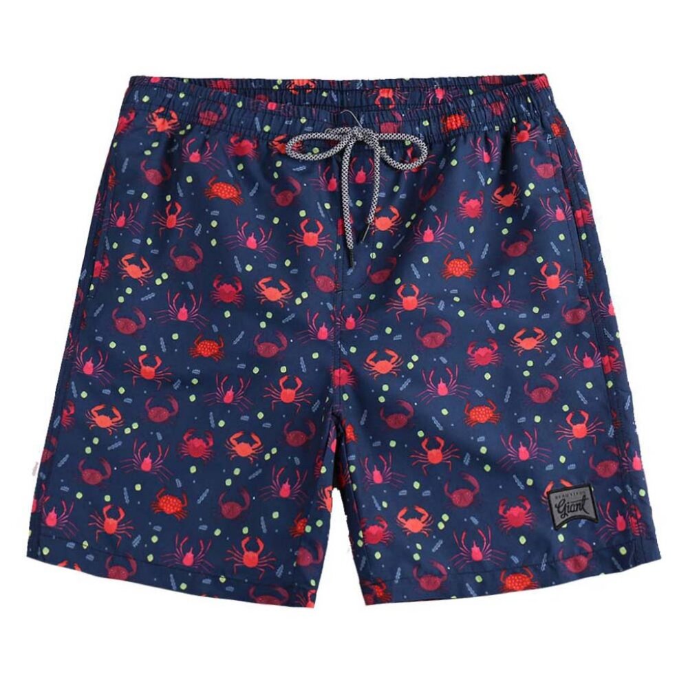 Men's Swim Trunks Quick Dry Hawaii Style Swimwear with Mesh Lining